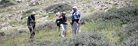 Wildlife Surveys in Tzoumerka Mountain